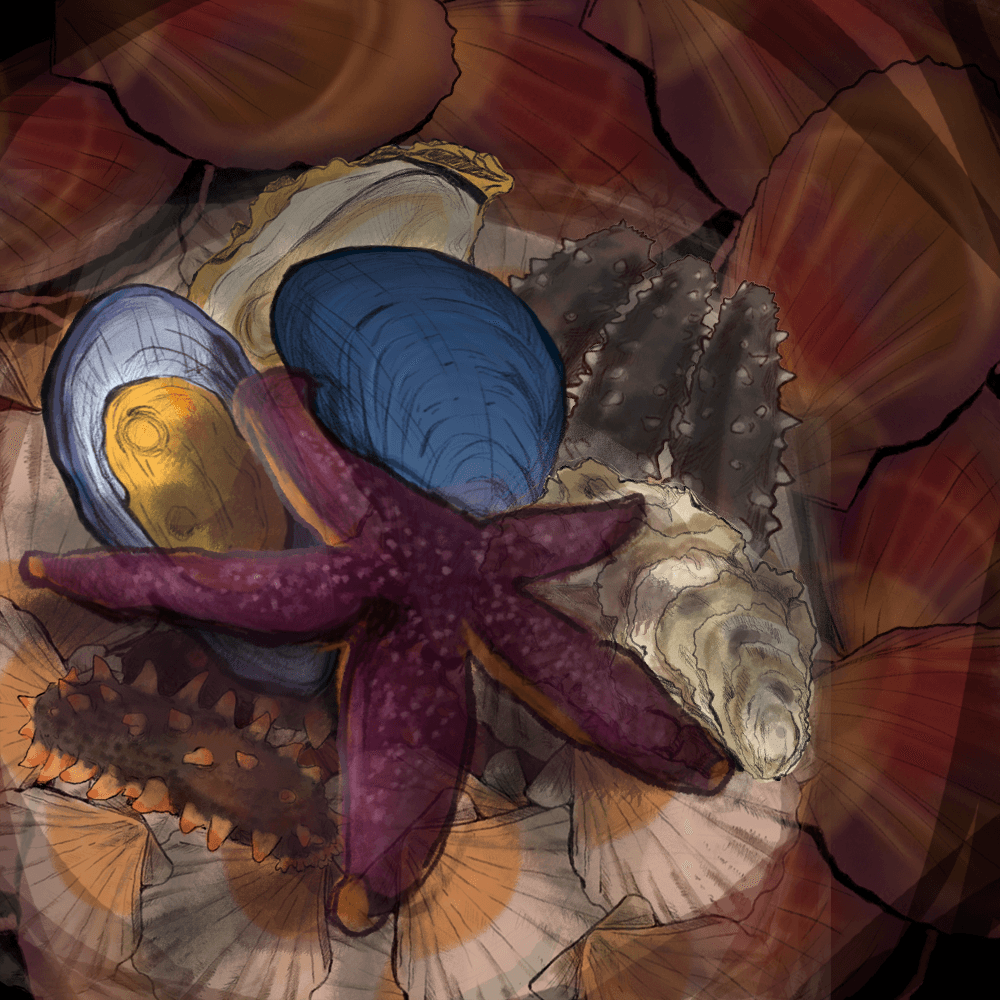 Краткая харктеристика объектов